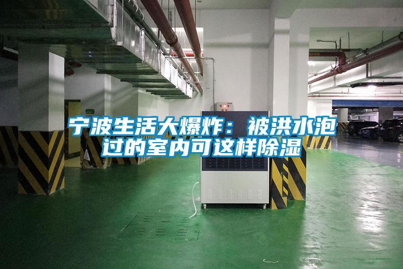 欧美成色手机在线观看 宁波生活大爆炸：被洪水泡过的室内可这样除湿