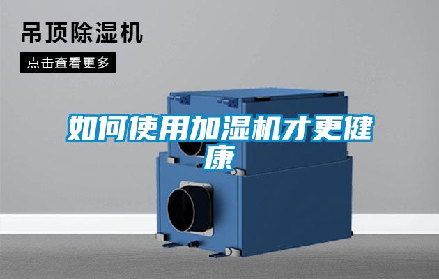 欧美成色手机在线观看 如何使用加湿机才更健康