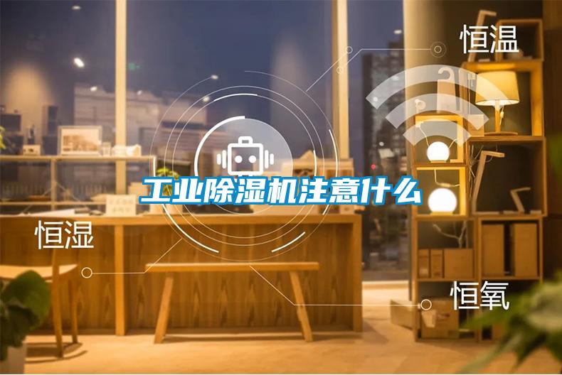 欧美黄色性爱视频网站 工业除湿机注意什么