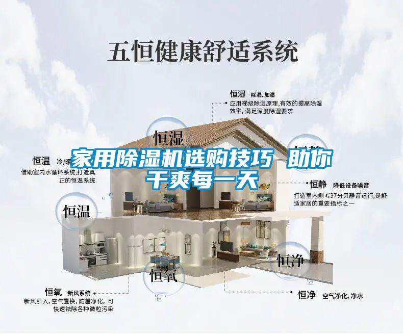 欧美成色手机在线观看 家用除湿机选购技巧 助你干爽每一天
