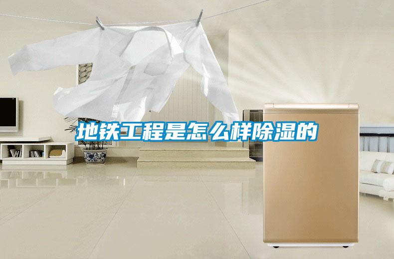 欧美黄色电影在线播放 地铁工程是怎么样除湿的