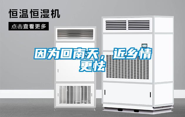 欧美成色手机在线观看 因为回南天，近乡情更怯
