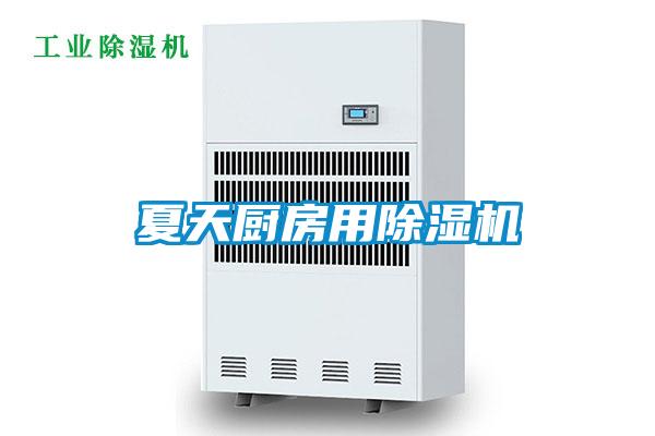 欧美黄色电影在线播放 夏天厨房用除湿机