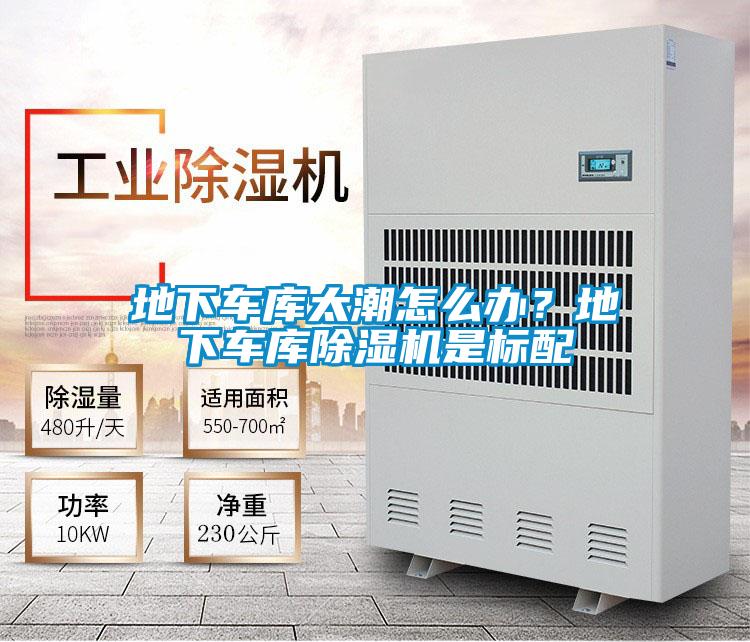欧美黄色电影在线播放 地下车库太潮怎么办？地下车库除湿机是标配