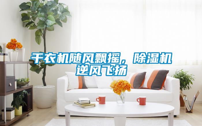 欧美成色手机在线观看 干衣机随风飘摇，除湿机逆风飞扬