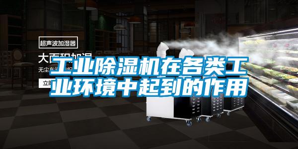 欧美黄色电影在线播放 工业除湿机在各类工业环境中起到的作用