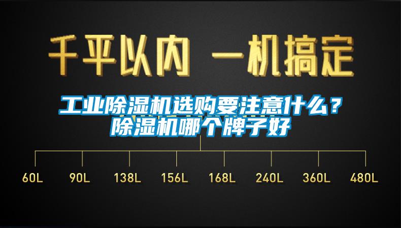 欧美黄色电影在线播放 工业除湿机选购要注意什么？除湿机哪个牌子好