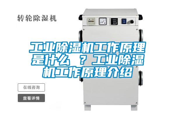欧美黄色性爱视频网站 工业除湿机工作原理是什么 ？工业除湿机工作原理介绍