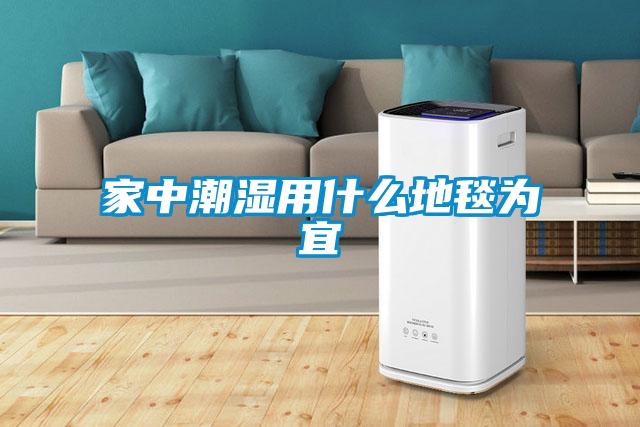 欧美成色手机在线观看 家中潮湿用什么地毯为宜