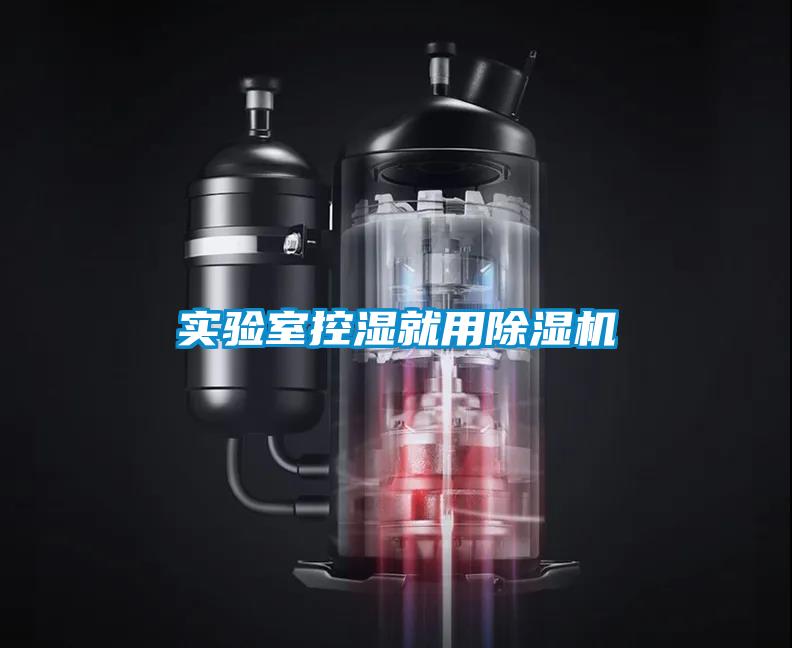 欧美黄色性爱视频网站 实验室控湿就用除湿机