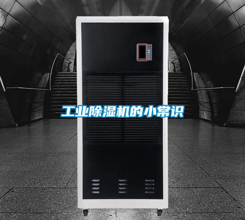 欧美黄色性爱视频网站 工业除湿机的小常识