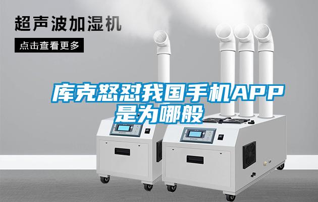 欧美成色手机在线观看 库克怒怼我国手机APP是为哪般