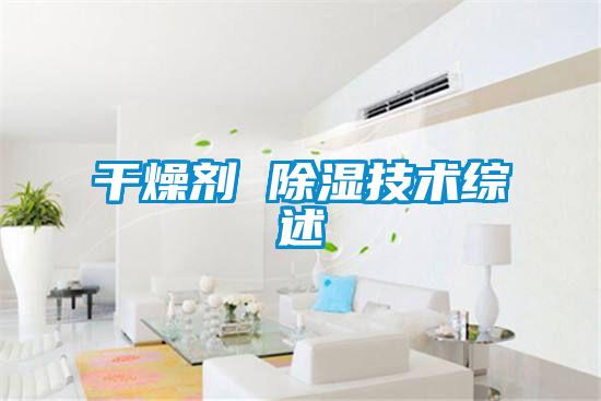 欧美黄色电影在线播放 干燥剂 除湿技术综述