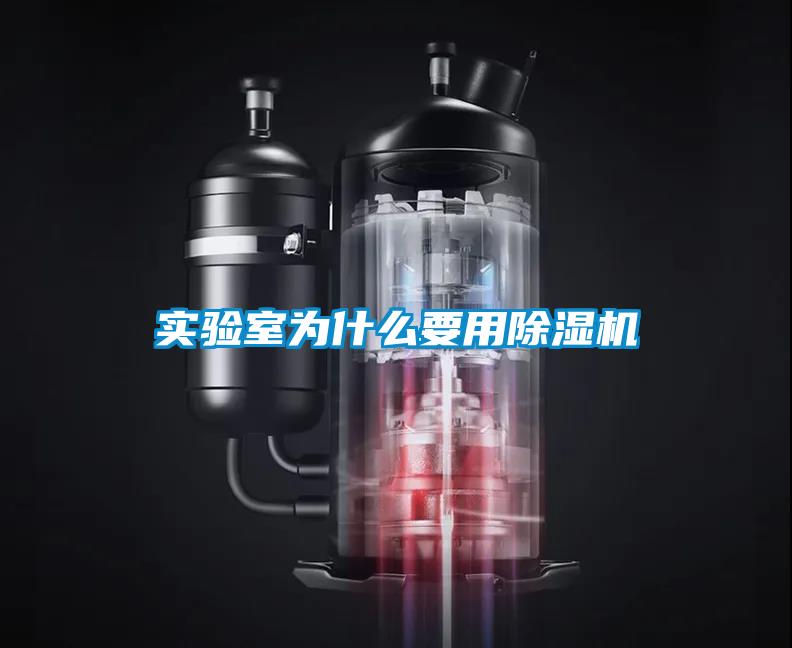 欧美黄色电影在线播放 实验室为什么要用除湿机