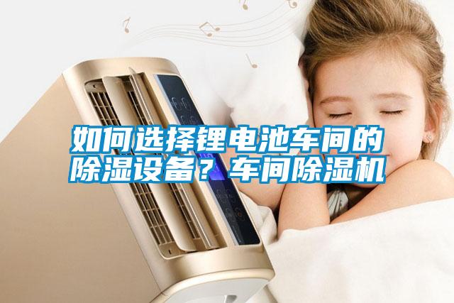欧美黄色性爱视频网站 如何选择锂电池车间的除湿设备？车间除湿机