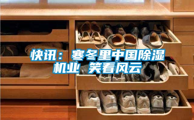 欧美黄色电影在线播放 快讯：寒冬里中国除湿机业 笑看风云