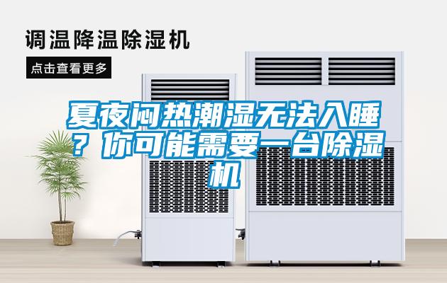 欧美黄色电影在线播放 夏夜闷热潮湿无法入睡？你可能需要一台除湿机