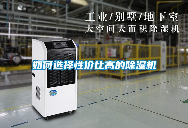 欧美成色手机在线观看 如何选择性价比高的除湿机