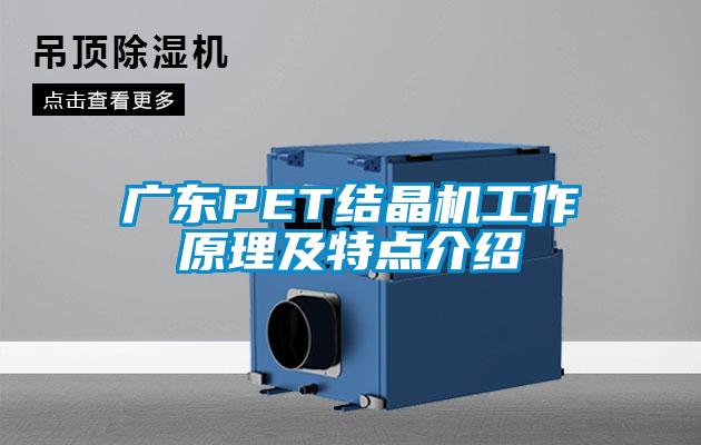 欧美黄色电影在线播放 广东PET结晶机工作原理及特点介绍