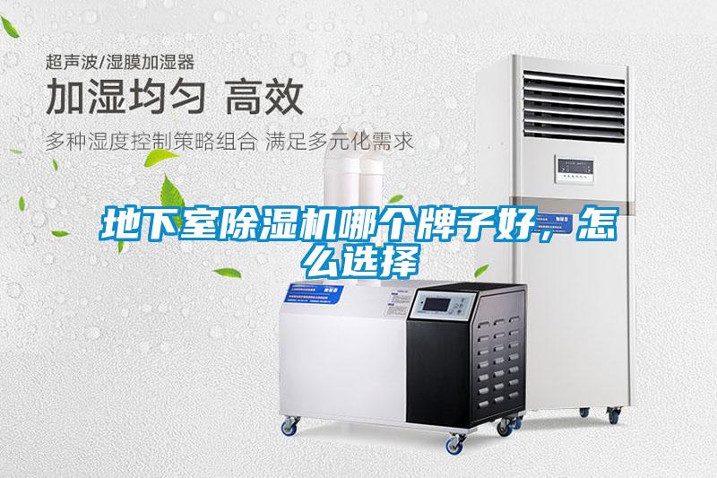 欧美黄色电影在线播放 地下室除湿机哪个牌子好，怎么选择