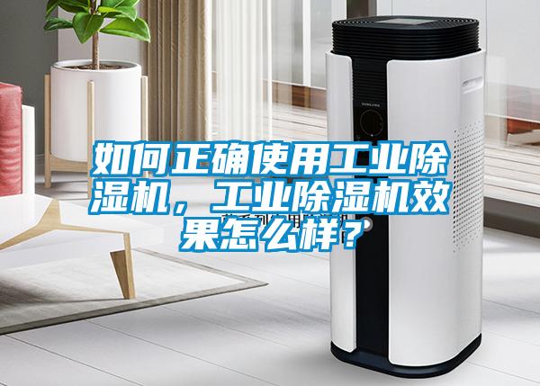 欧美黄色电影在线播放 如何正确使用工业除湿机，工业除湿机效果怎么样？