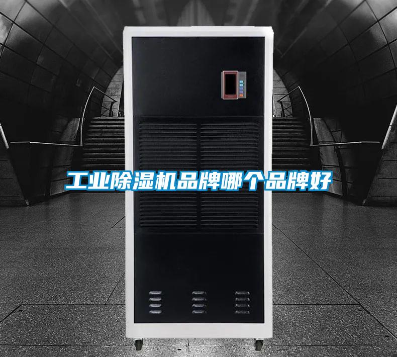 欧美成色手机在线观看 工业除湿机品牌哪个品牌好