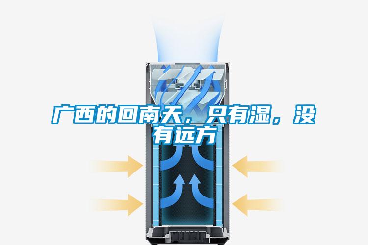 欧美成色手机在线观看 广西的回南天，只有湿，没有远方