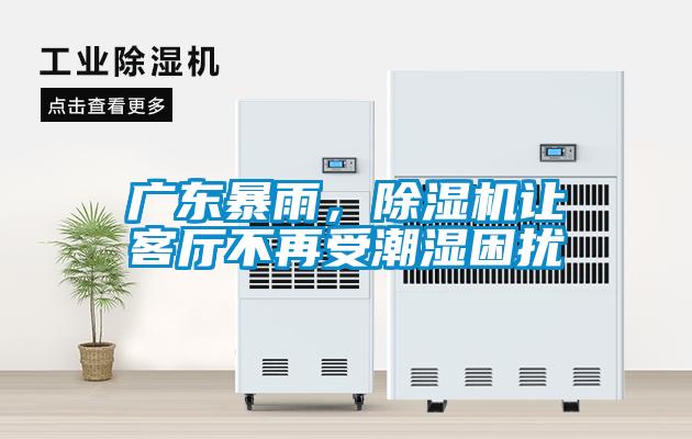 欧美黄色电影在线播放 广东暴雨，除湿机让客厅不再受潮湿困扰
