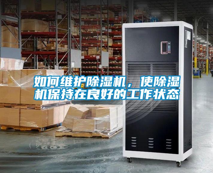 欧美黄色性爱视频网站 如何维护除湿机，使除湿机保持在良好的工作状态