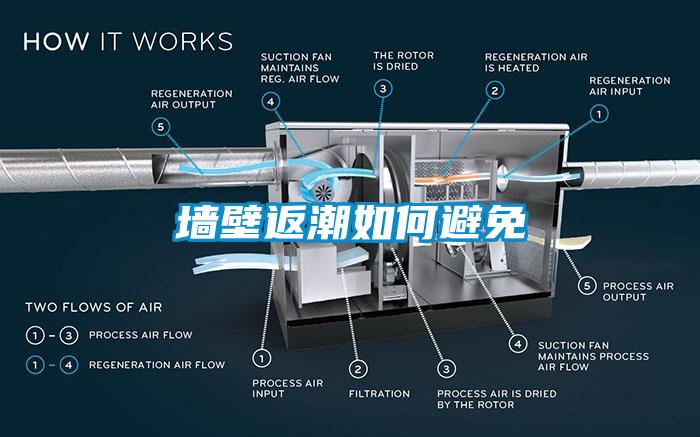 欧美成色手机在线观看 墙壁返潮如何避免