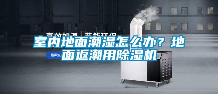 欧美黄色性爱视频网站 室内地面潮湿怎么办？地面返潮用除湿机