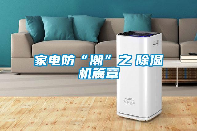 欧美黄色性爱视频网站 家电防“潮”之　除湿机篇章