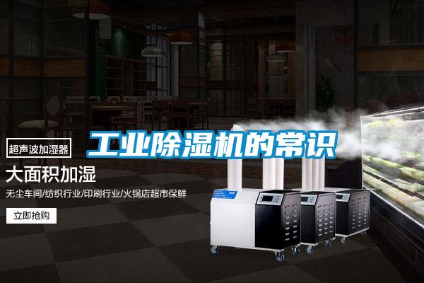 欧美黄色性爱视频网站 工业除湿机的常识