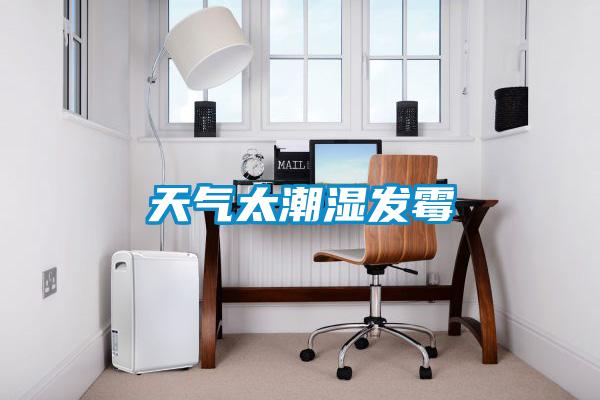 欧美黄色性爱视频网站 天气太潮湿发霉