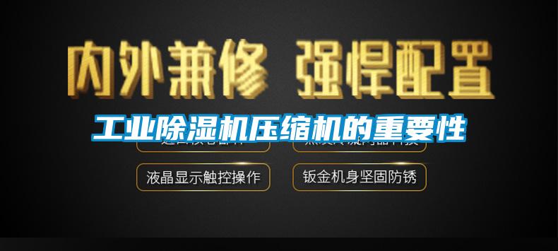 欧美黄色性爱视频网站 工业除湿机压缩机的重要性