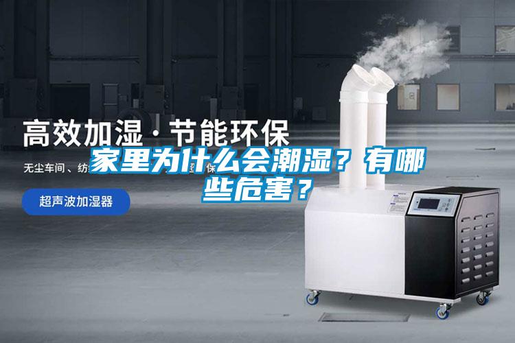 欧美成色手机在线观看 家里为什么会潮湿？有哪些危害？