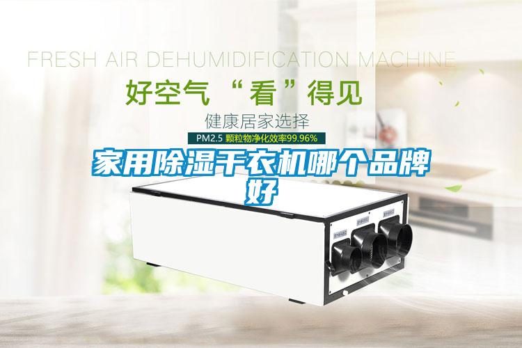 欧美黄色性爱视频网站 家用除湿干衣机哪个品牌好