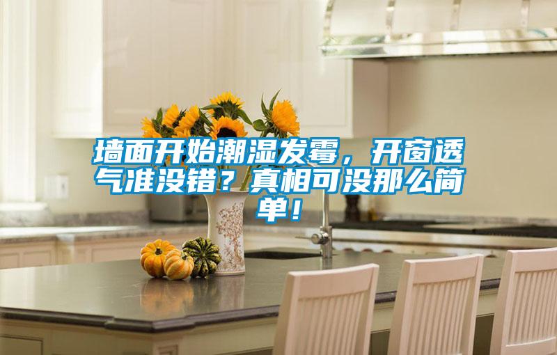 欧美黄色电影在线播放 墙面开始潮湿发霉，开窗透气准没错？真相可没那么简单！