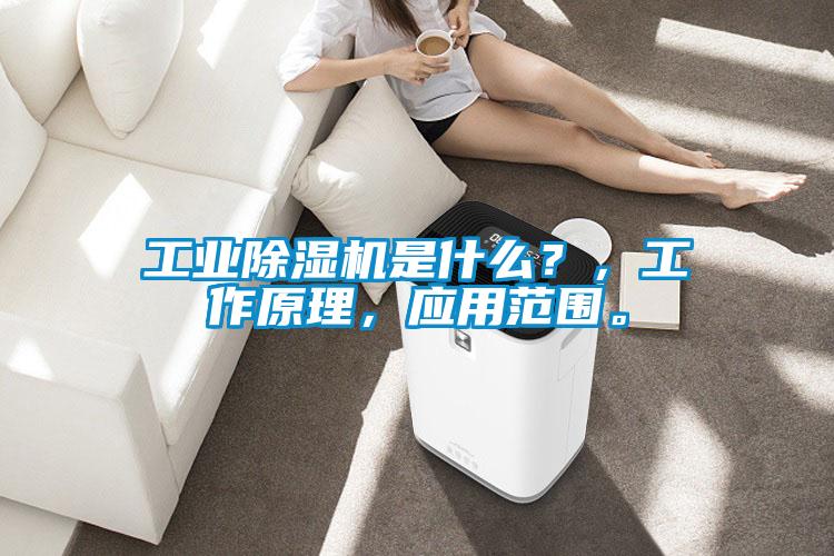 欧美黄色性爱视频网站 工业除湿机是什么？，工作原理，应用范围。