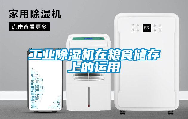 欧美黄色电影在线播放 工业除湿机在粮食储存上的运用