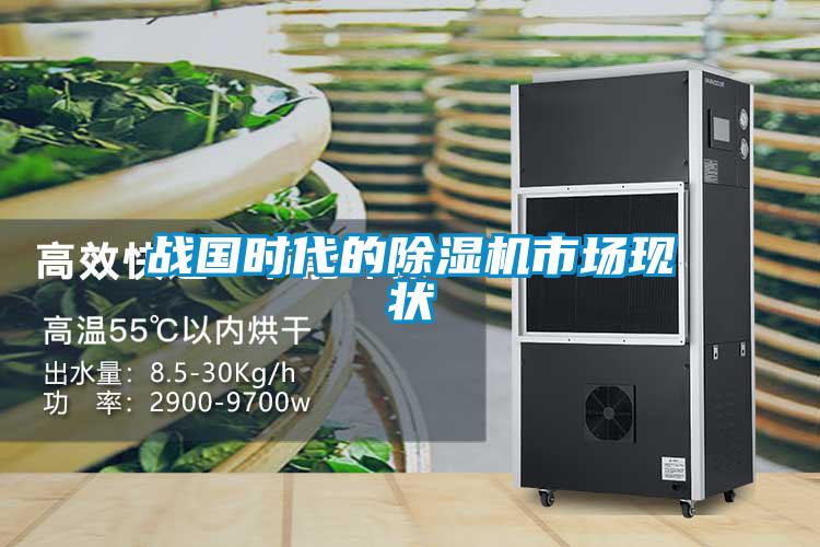 欧美黄色性爱视频网站 战国时代的除湿机市场现状