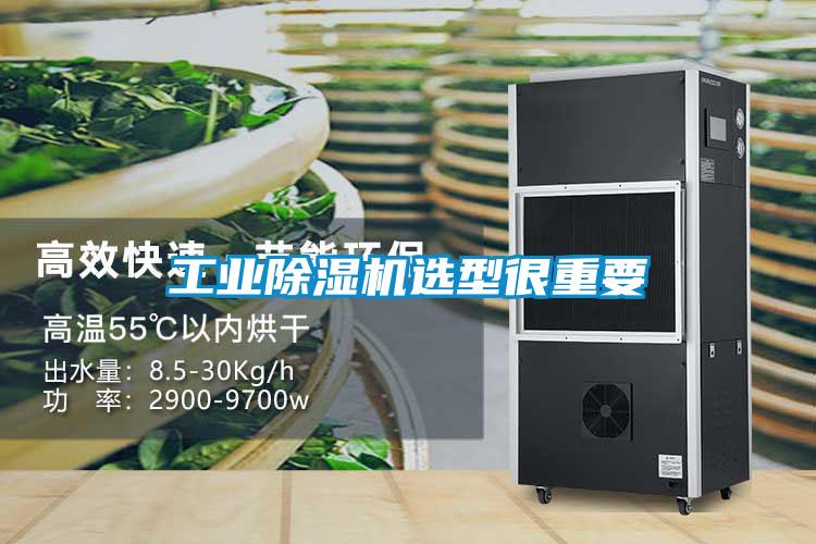 欧美黄色性爱视频网站 工业除湿机选型很重要