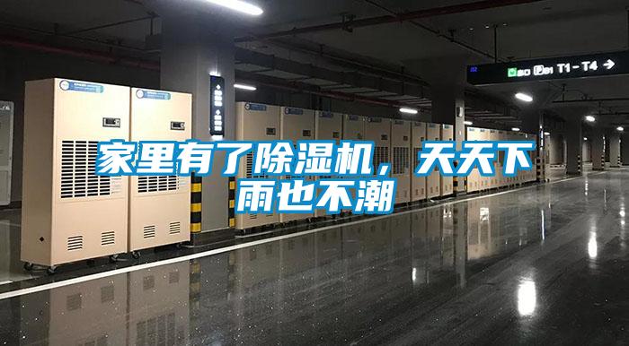 欧美黄色电影在线播放 家里有了除湿机，天天下雨也不潮