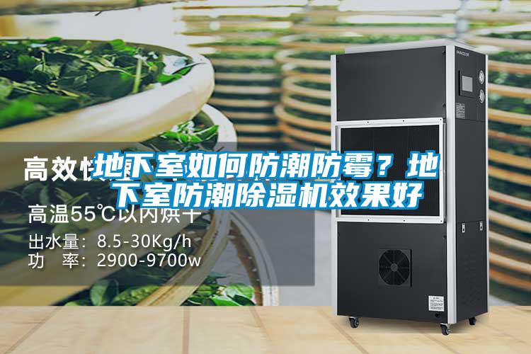 欧美成色手机在线观看 地下室如何防潮防霉？地下室防潮除湿机效果好