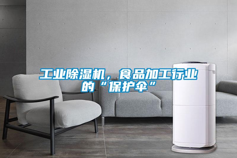 欧美黄色电影在线播放 工业除湿机，食品加工行业的“保护伞”