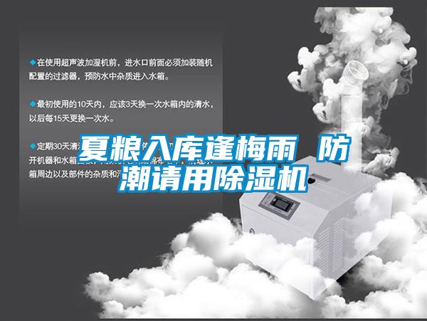 欧美黄色电影在线播放 夏粮入库逢梅雨 防潮请用除湿机