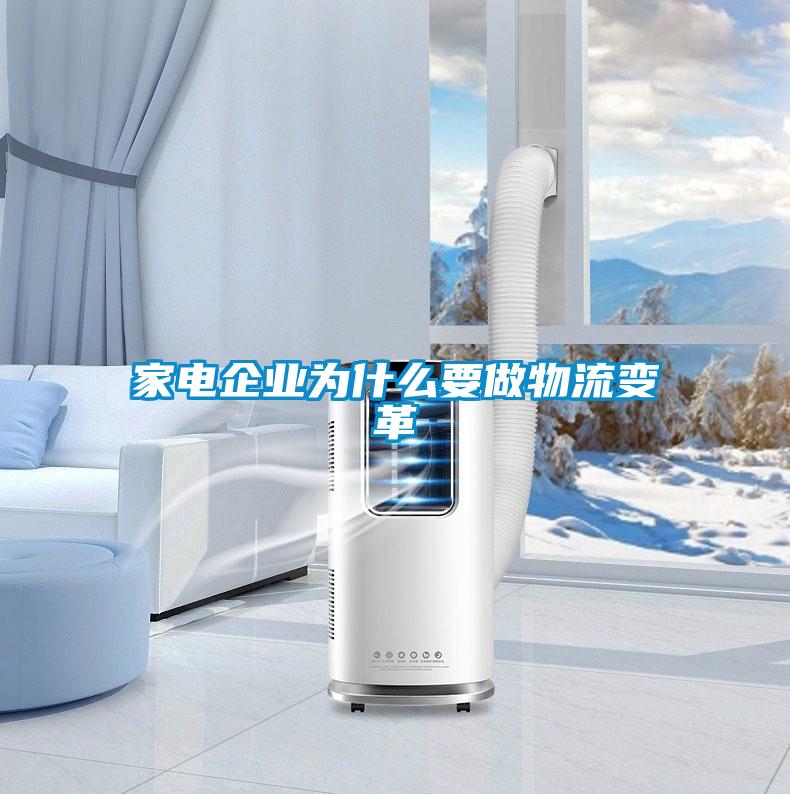 欧美黄色电影在线播放 家电企业为什么要做物流变革