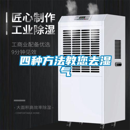 欧美黄色性爱视频网站 四种方法教您去湿气