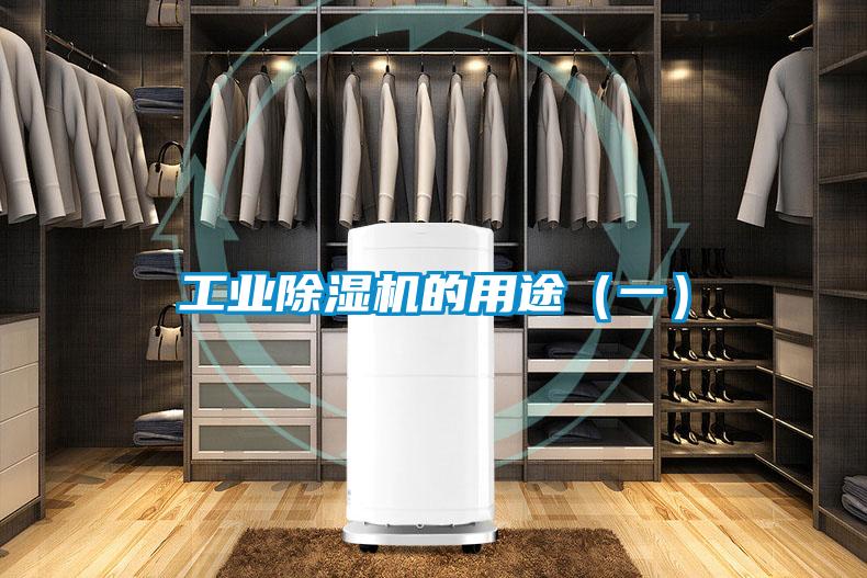欧美黄色电影在线播放 工业除湿机的用途（一）