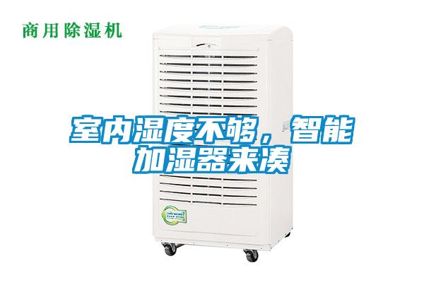 欧美成色手机在线观看 室内湿度不够，智能加湿器来凑